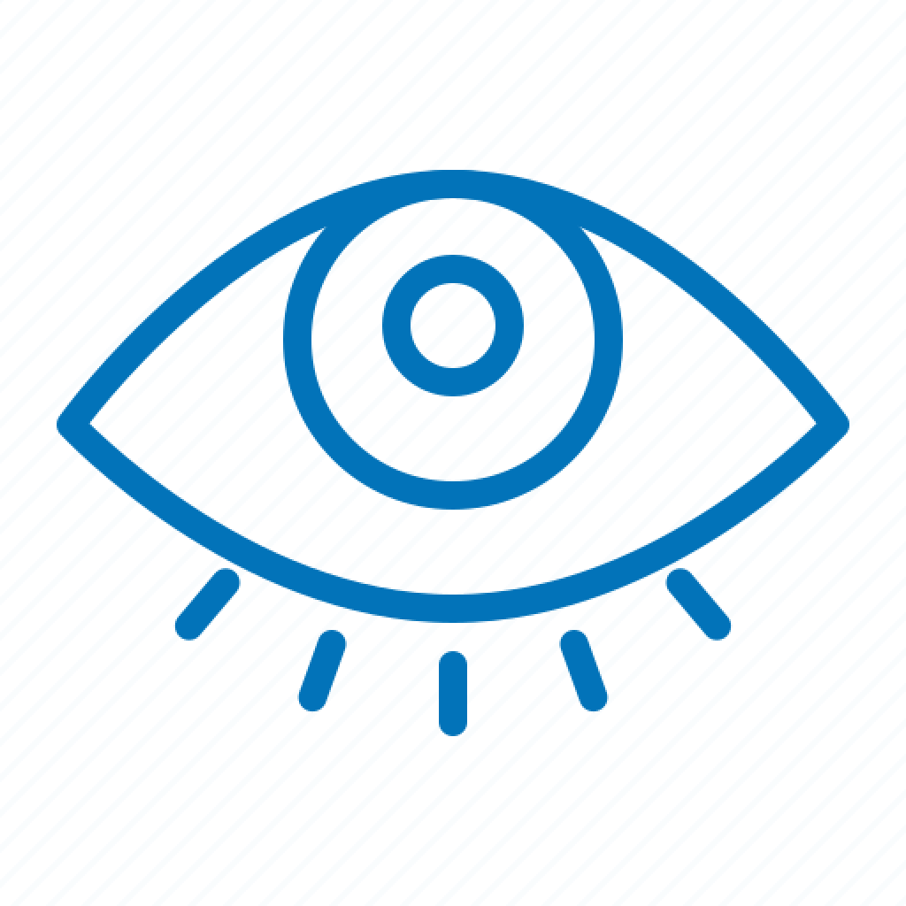 Vision Icon